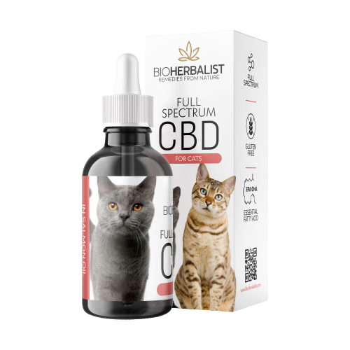 CBD v lososovém oleji (pro kočky)
