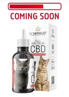 CBD In Salmon Oil (For Cats)
