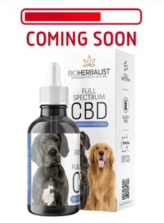 CBD In Salmon Oil (For Dogs)